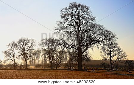 Cumbria Dawn