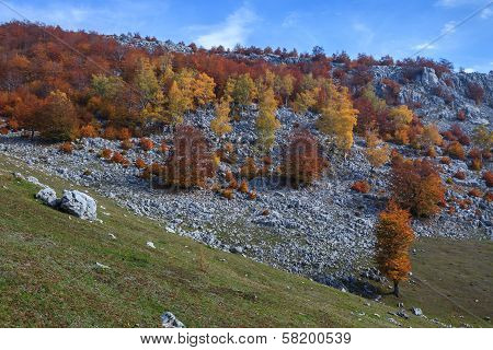 The Mehedinti Mountains