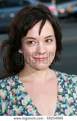 Natasha Gregson Wagner at the Los Angeles premiere of 