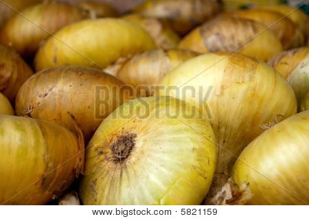 RAW ONION
