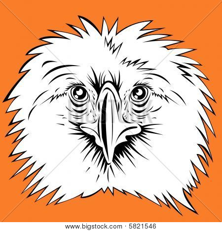 Filippijnse eagle