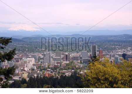 Portland View & omgeving.