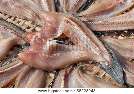 DryFish