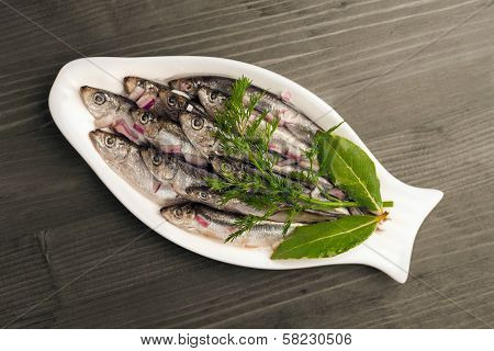 Seafood Appetizer Sprat
