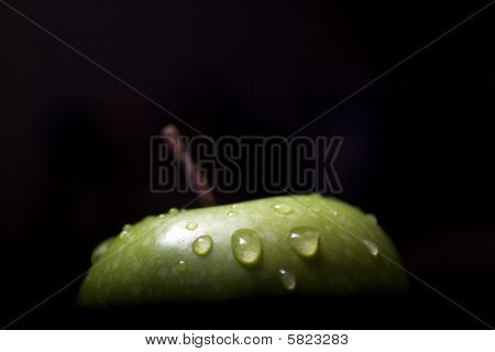 Apple Drops