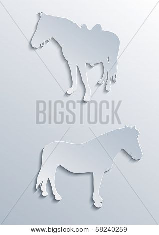 Two horses