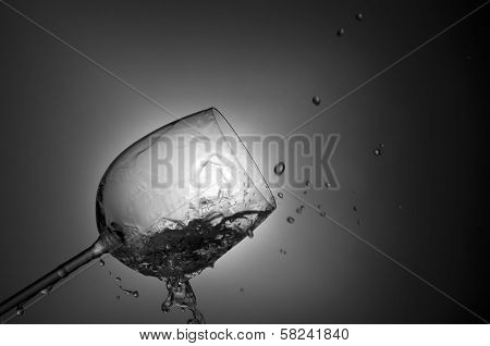 Splash