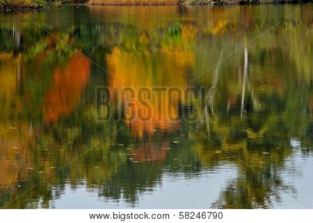 Reflection in a Pond Showing the Fall Foliage