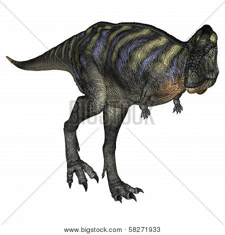 Dinosaur Aucasaurus