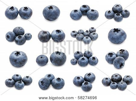 Blueberry set