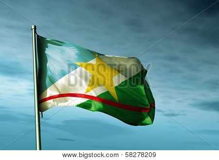 Roraima (Brazil) flag waving in the evening