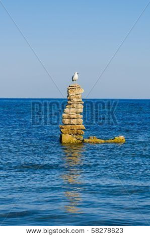 One White Seagull Stending On Stability Stones In A Sea