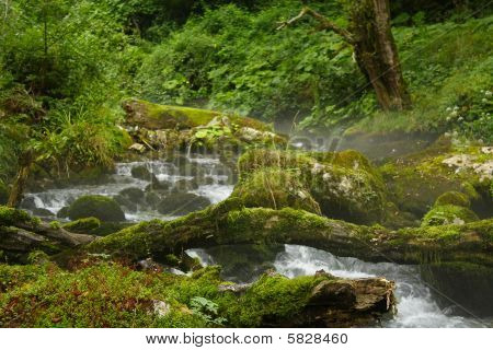 Ruscello di montagna