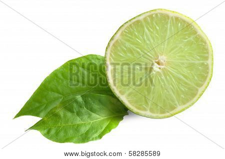 Lime Fruit