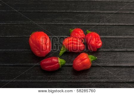 Small Chili