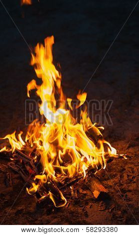 High Flame Of A Bonfire. Fire In Night