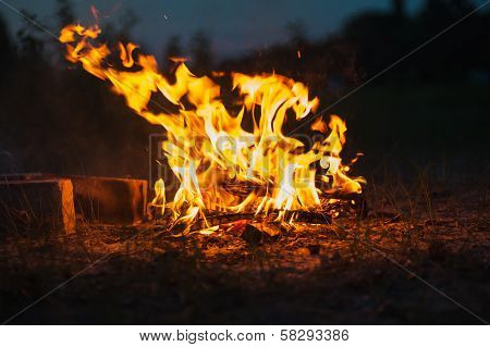 High Flame Of A Bonfire. Fire In Night