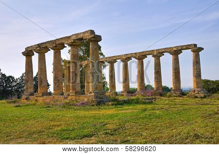 Tavole Palatine. Metaponto. Basilicata. Italy.