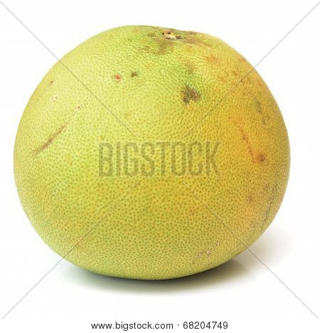 Pommelo