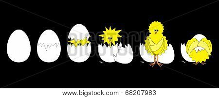 Funky Chicken