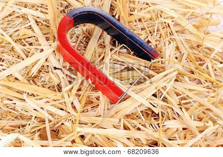 Magnet and needle on hay background