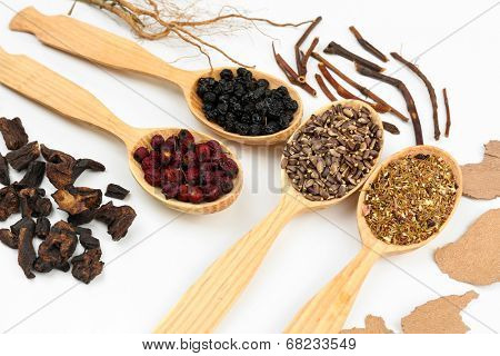 Traditional chinese herbal medicine ingredients, close-up