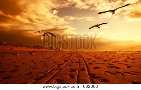 Gold Beach