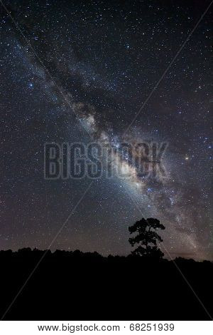 Milky Way