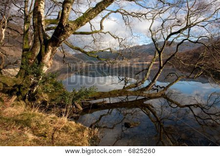 Llyn Dinas สะท้อน