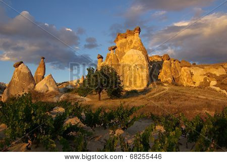 Cappadocia, Turkey