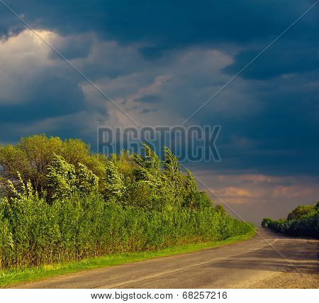 Before The Storm