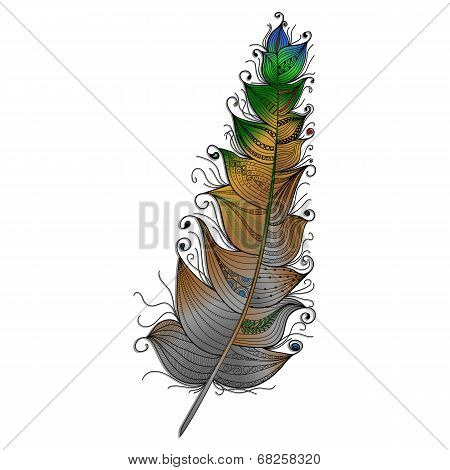 Multi-colored feather with a graceful ornament