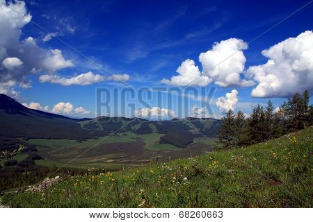Summertime in the mountains