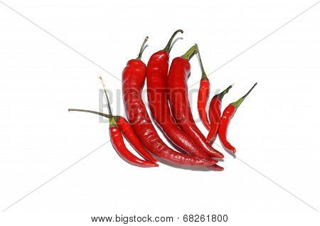 Red hot chillies on white