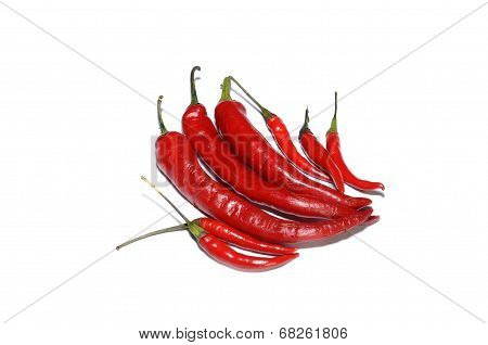 Red hot chillies on white
