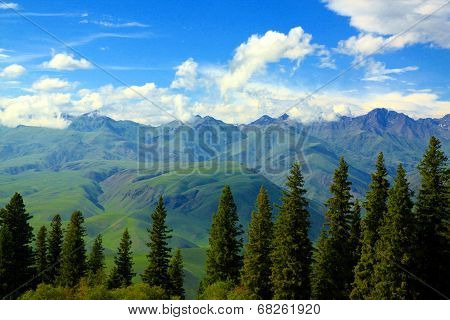 Summertime in the mountains