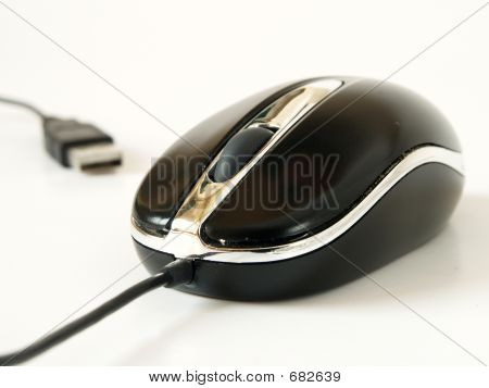 USB Mouse