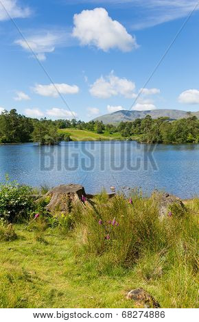 Tarn Hows Lake District National Park England uk one of the top scenic destinations