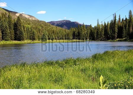 Summer in Mountains