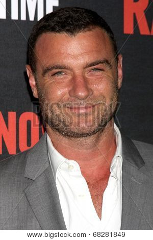 LOS ANGELES - JUL 9:  Liev Schreiber at the 