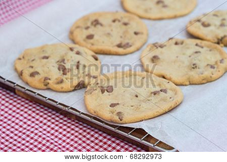 Beautiful Fresh Hand Made Chocolate Chip Cookies