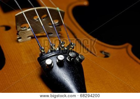 Violin Close Up