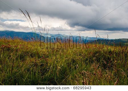 Mountaintop