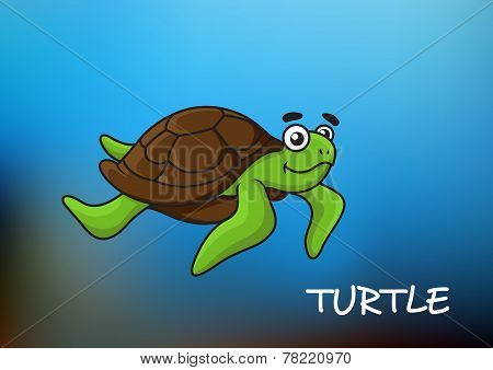 Sea turtle character illustration