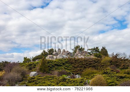 Rockery (alpine Garden) In Kyiv Botanical Garden