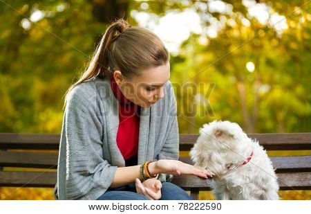 Young woman with her puppy in autumn park 