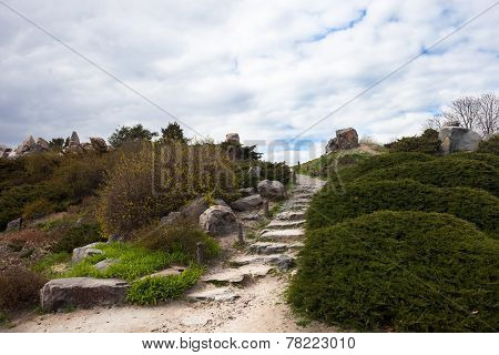Stony Stairs In The Rockery In Kyiv Botanical Garden