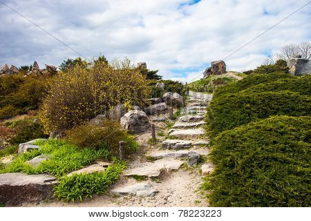 Stony Stairs In The Rockery In Kyiv Botanical Garden