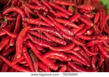 Spicy Chilli No Stem