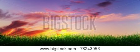 Green grass on sunset sunny sky, nature theme. Panorama or banner